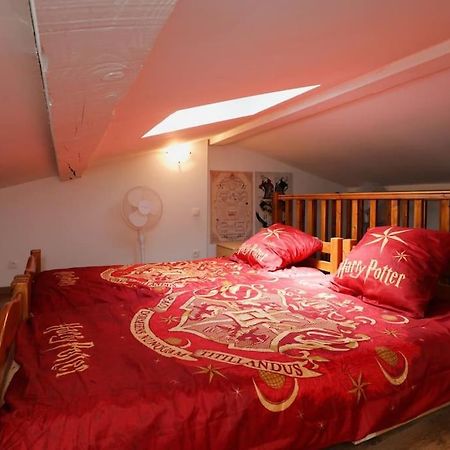 Harry Potter - Le Logis Du Petit Sorcier - Clim Daire Carcassonne Dış mekan fotoğraf